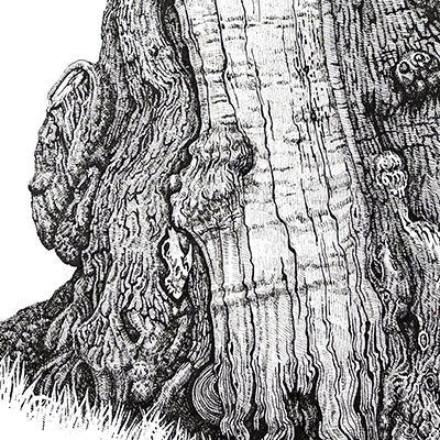 New Drawing in Landscape Gallery