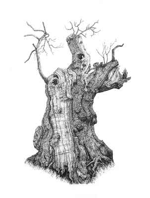 Chestnut Sentinel Pen and Ink on Paper Framed 50x65 cm £800