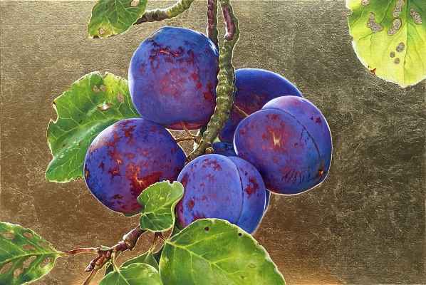 Plums On a Gilded Background, 2023 - SOLD