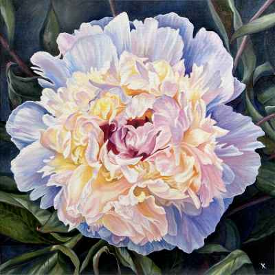 White Peony, 2023, Oil on Canvas, Unframed 50x50cm - £500